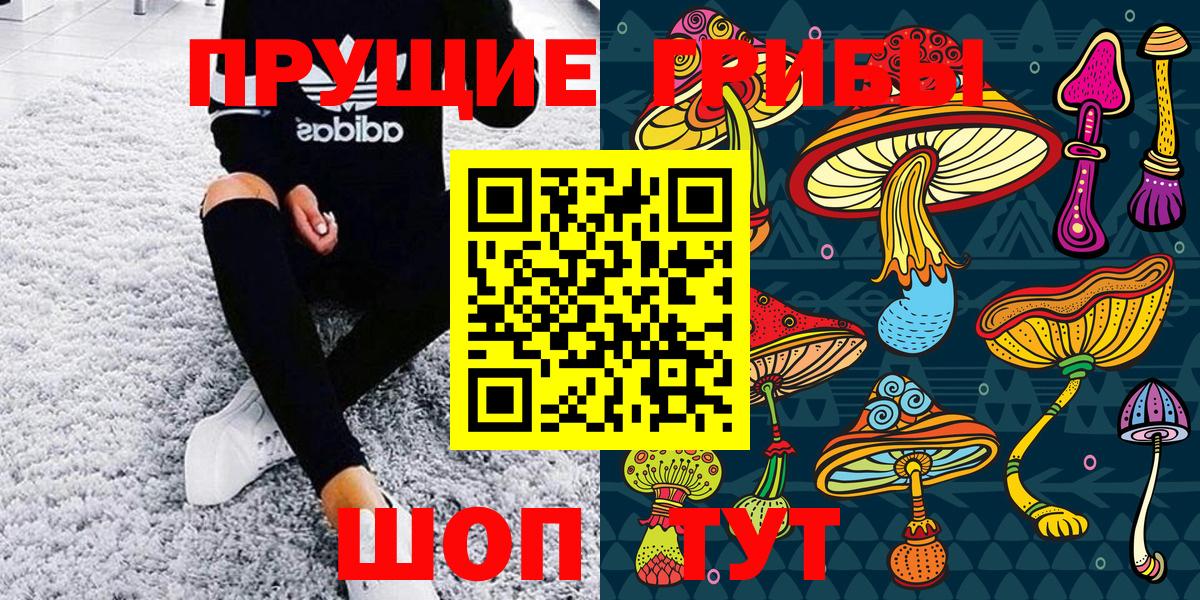 Галлюциногенные грибы мухоморы  Псилоцибиновые грибы Psilocybe  где продают наркотики  Белгород  Вход с VPN 