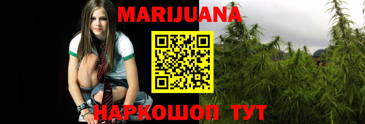 Бошки марихуана ГИДРОПОН  Бошки Шишки семена  Вход с VPN  Бошки Шишки Bruce Banner  Белгород 